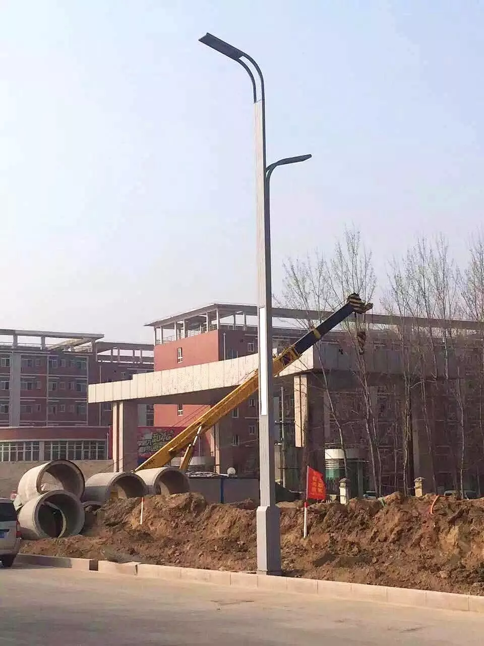 010.特地為大慶油田設計制造的路燈2